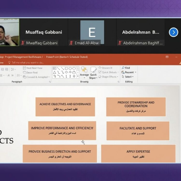 قالب أخبار ميامي (3)