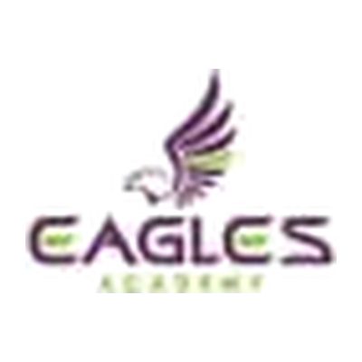 16Miami academy C logo
